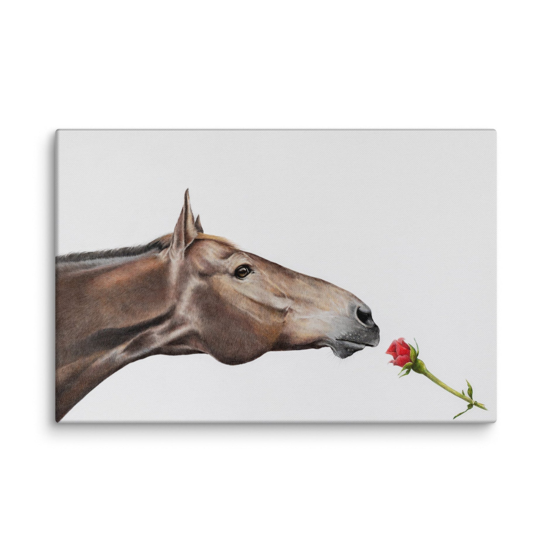 'Limitless' - by Renate du Plessis