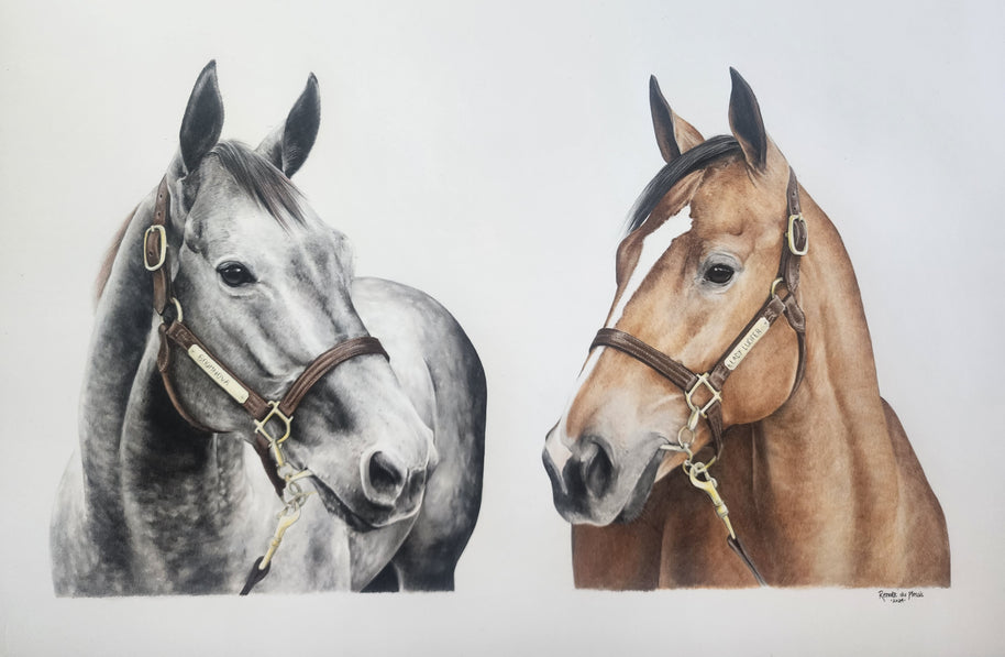 Completed Commission