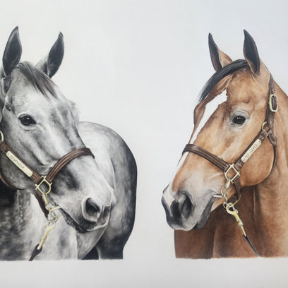 Completed Commission