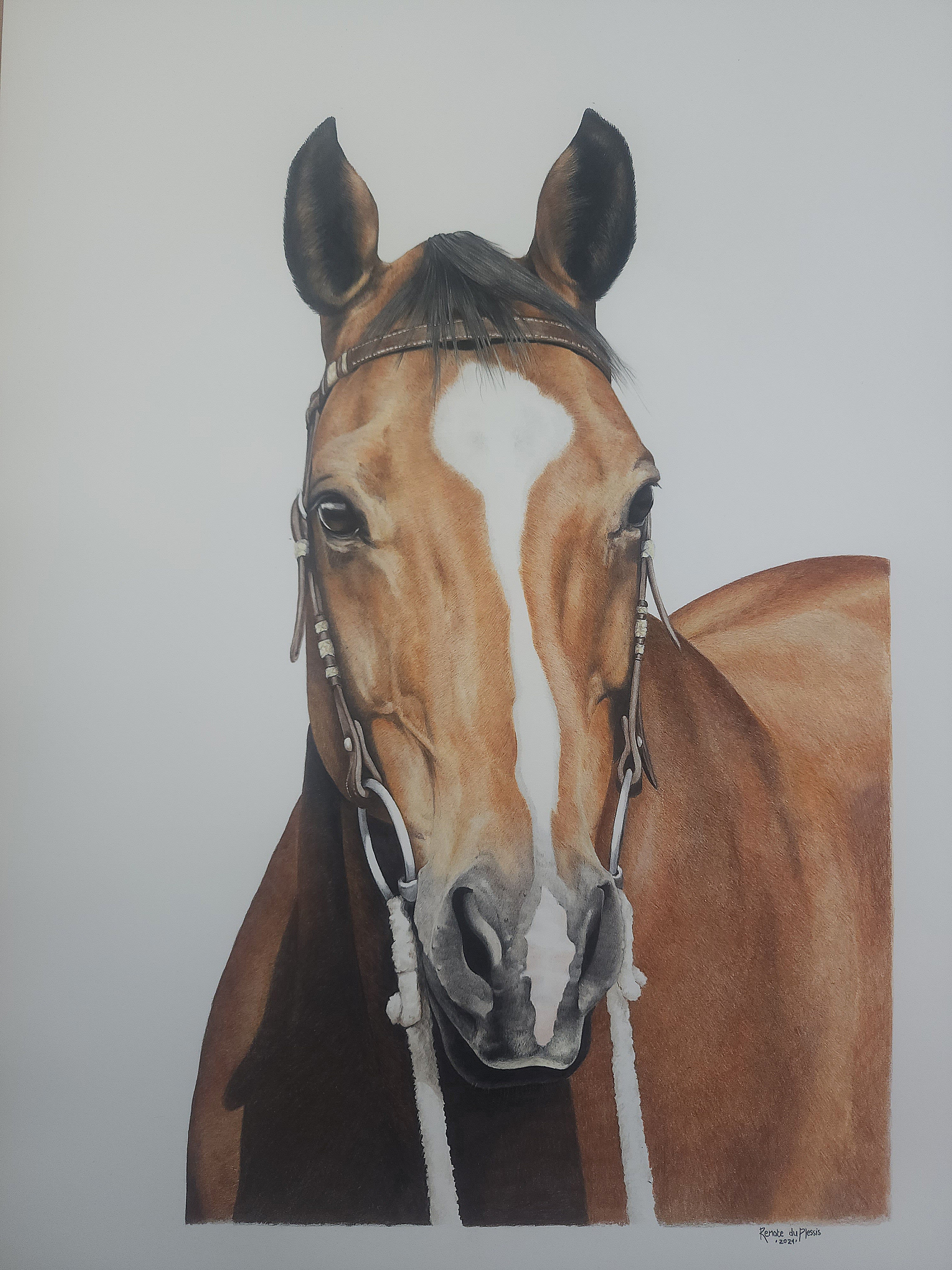 Completed Commission Information