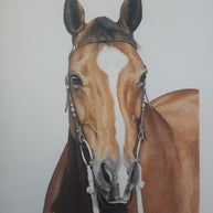 Completed Commission