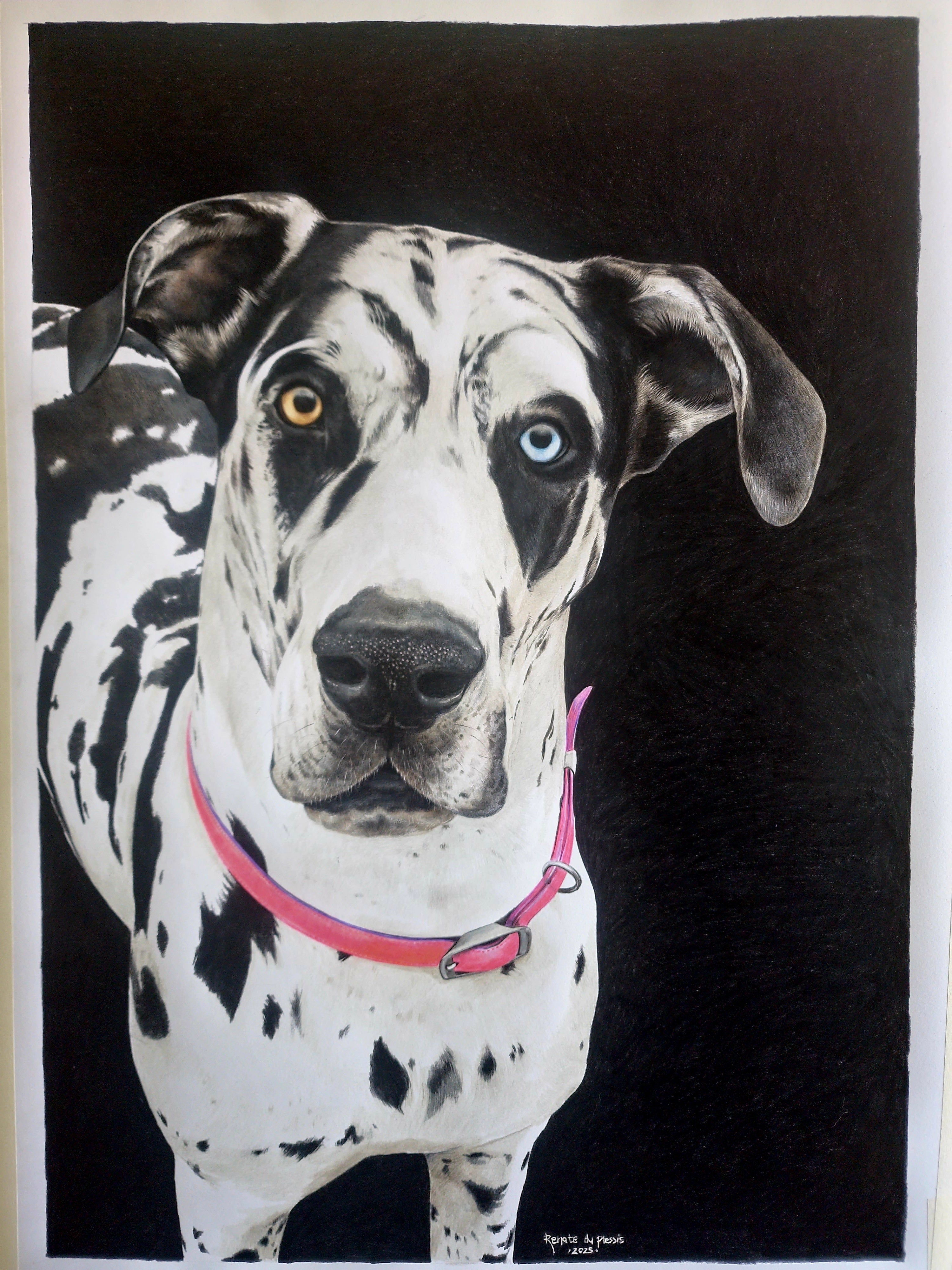Completed Commission Information