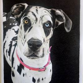 Completed Commission Information