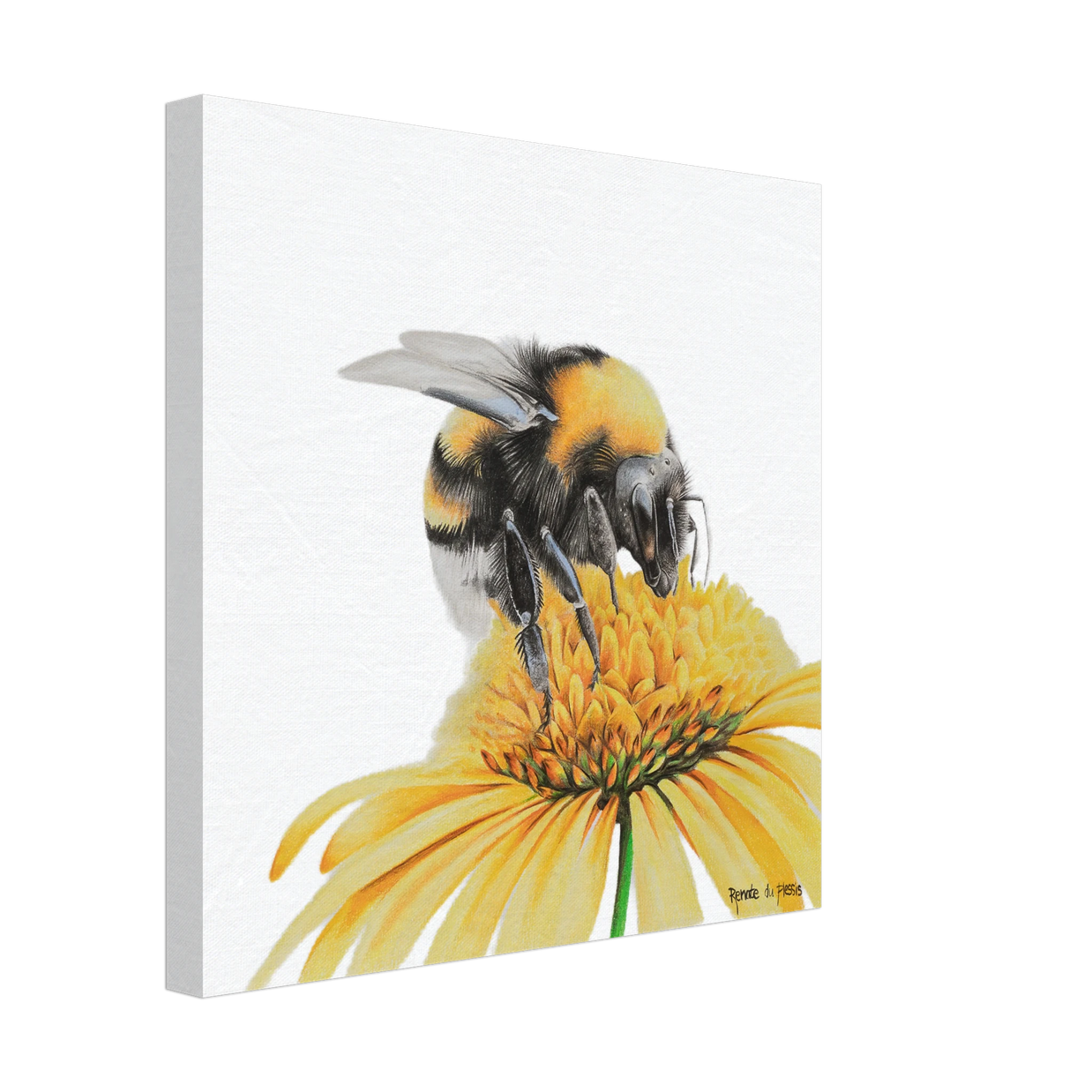 103685b6-1c0b-4838-86ad-ca8ec43f75fc