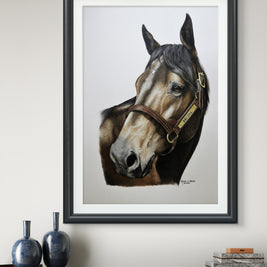 Thoroughbred Stallion Brutal - Limited Edition