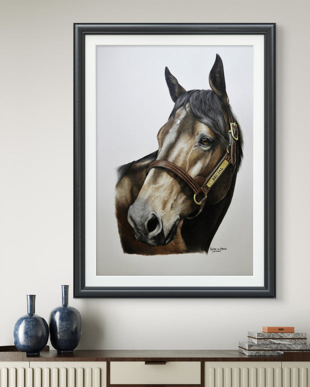 Thoroughbred Stallion Brutal - Limited Edition