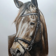 Completed Commission