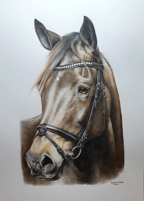 Completed Commission