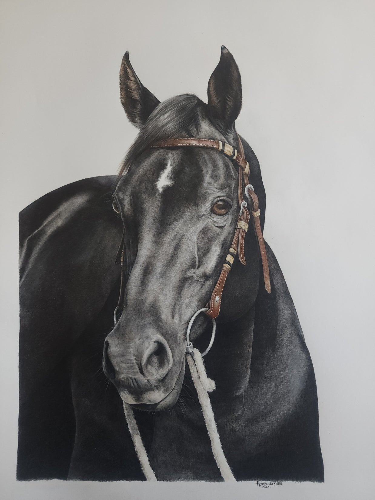 Completed Commission Information