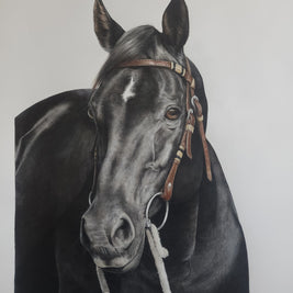 Completed Commission Information