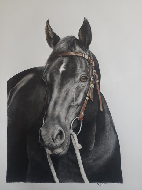 Completed Commission