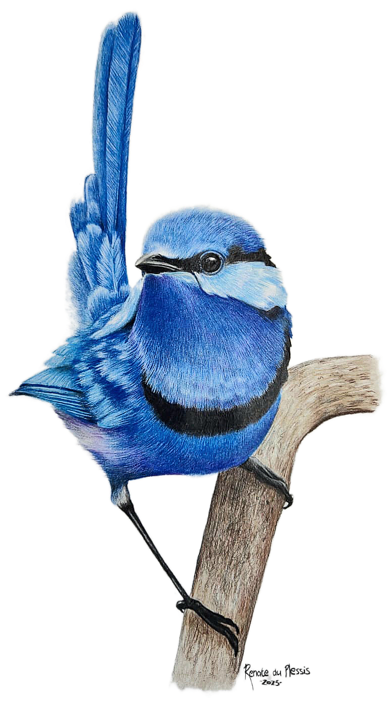 Into the Wind - SOLD