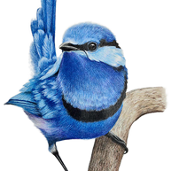 Into the Wind - SOLD