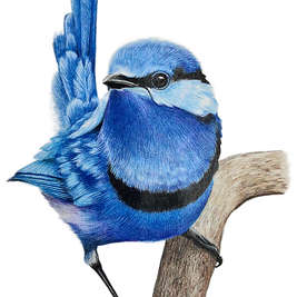 Into the Wind - SOLD