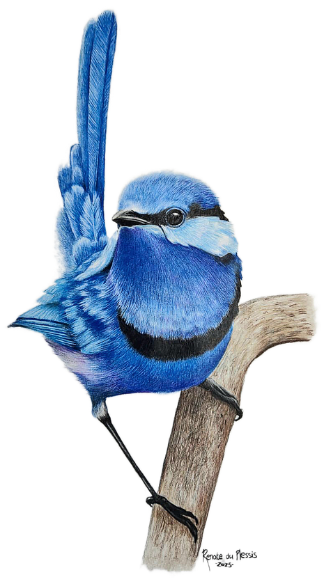 Into the Wind - SOLD