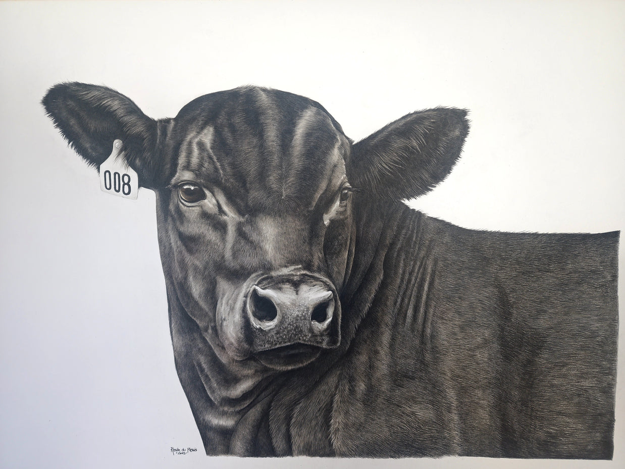 When You Hear The Call - Black Angus Steer 008