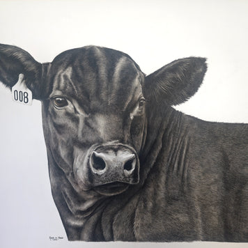 When You Hear The Call - Black Angus Steer 008