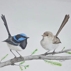 Romeo & Juliet - Limited Edition