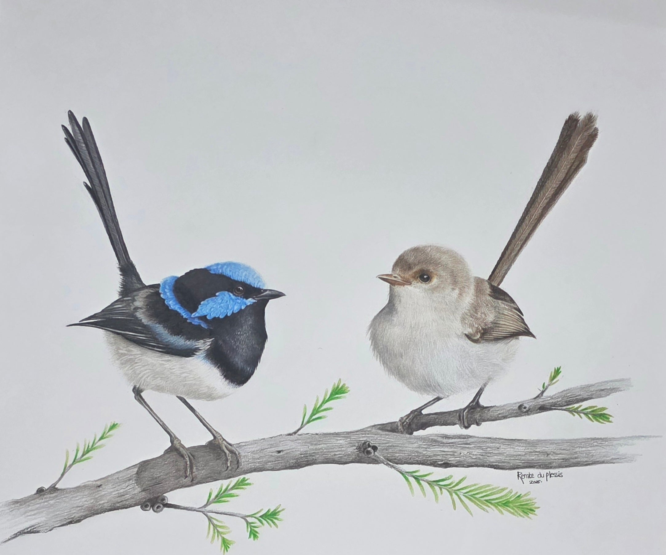 Romeo & Juliet - Limited Edition