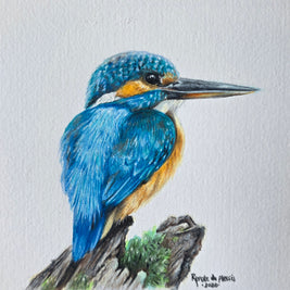 A colored pencil and watercolour drawing of a blue kingfisher perched on a branch, set against a textured off-white paper 