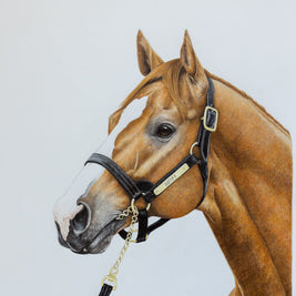 Justify - Limited Edition