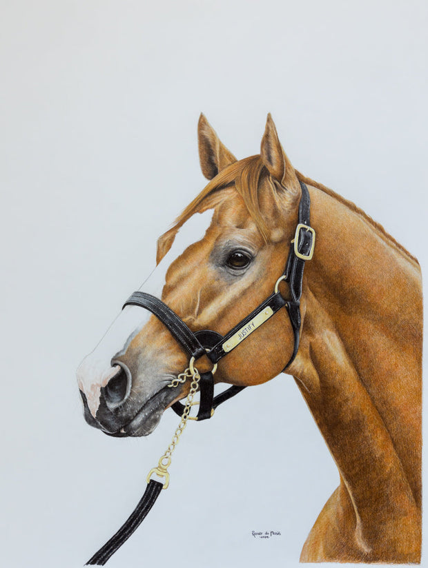 Justify - Limited Edition