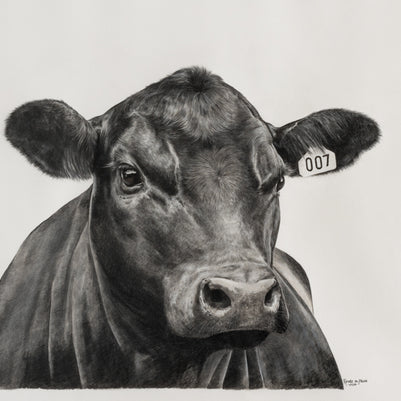 Black Angus Steer 007 - Limited Edition