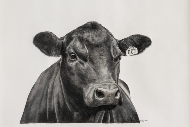 Black Angus Steer 007 - Limited Edition