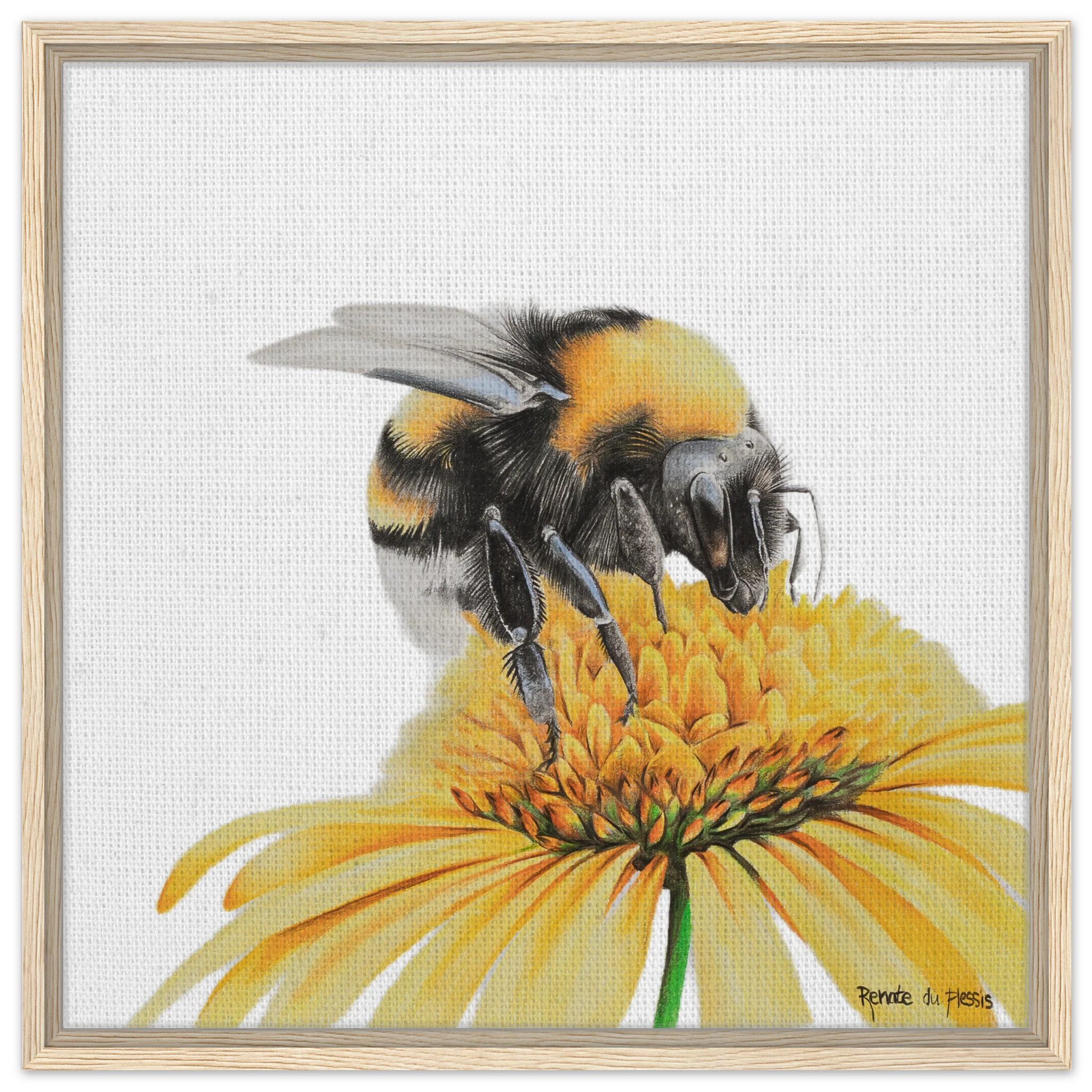 c3664d6d-a8b1-47e8-9f58-2d261b07873b