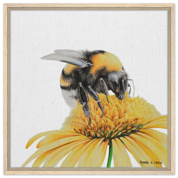c3664d6d-a8b1-47e8-9f58-2d261b07873b