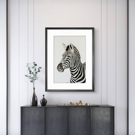 'Never just Black and White'  Zebra Artwork -  Limited Edition