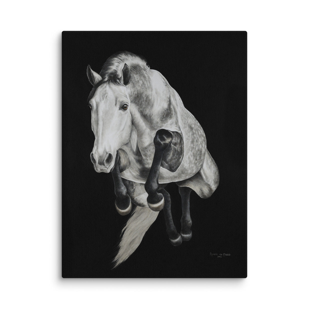 Grey horse jumping on a black background