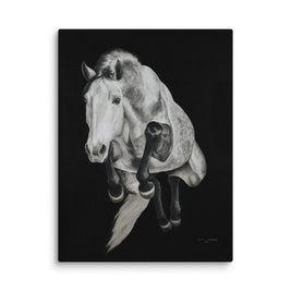 Grey horse jumping on a black background