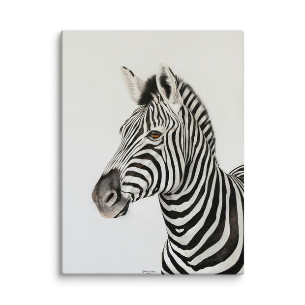 African zebra on a off white background 