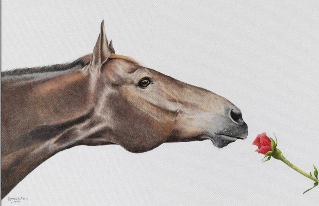 Stop and Smell the Roses - Horse and Rose Limited Edition