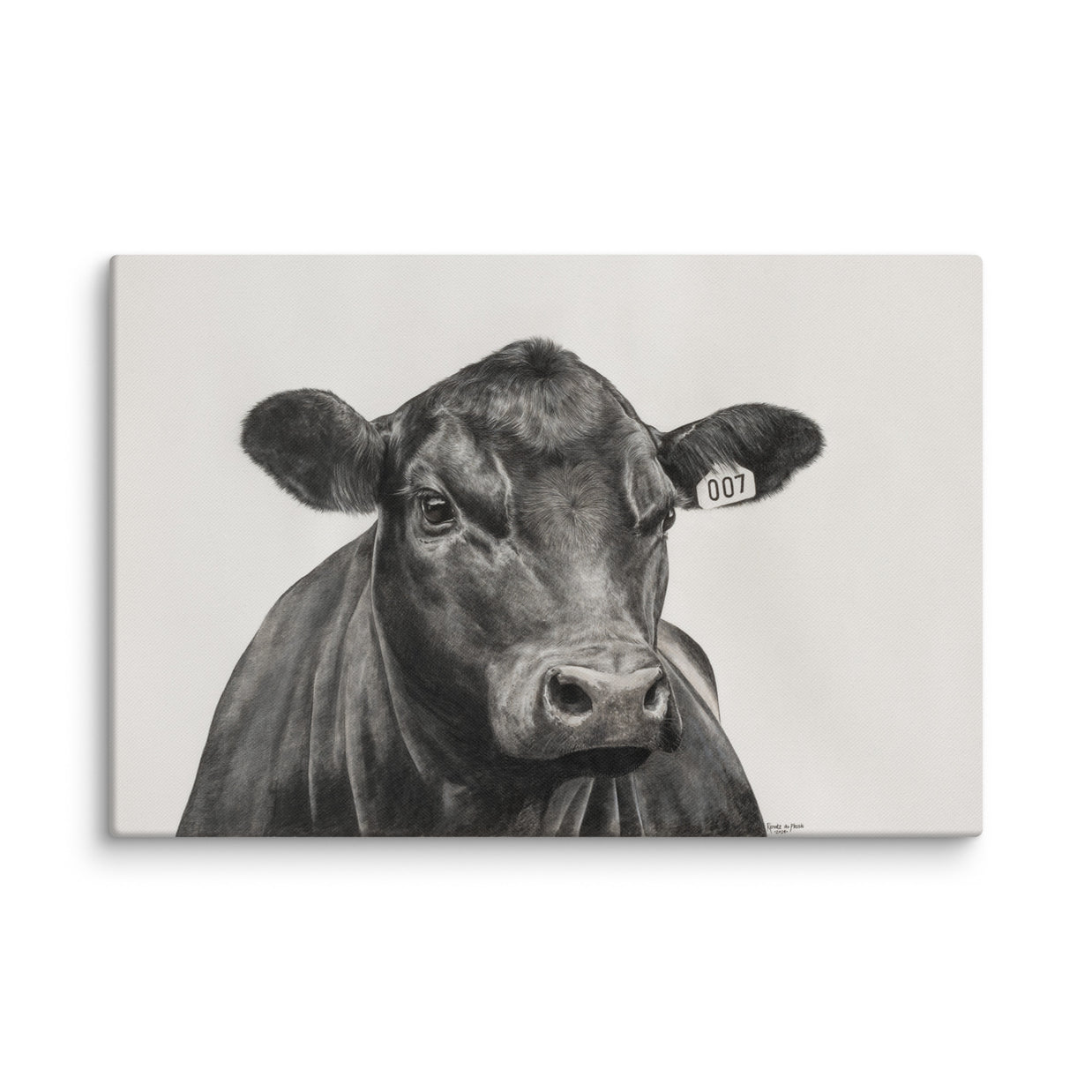 detailed Black Angus Cow on off white background made form the original colour pencil drawing by Renate du Plessis