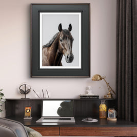 Detailed print of the racehorse Antino 