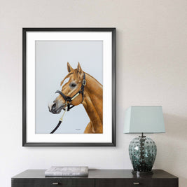 Justify - Limited Edition