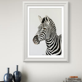 'Never just Black and White'  Zebra Artwork -  Limited Edition