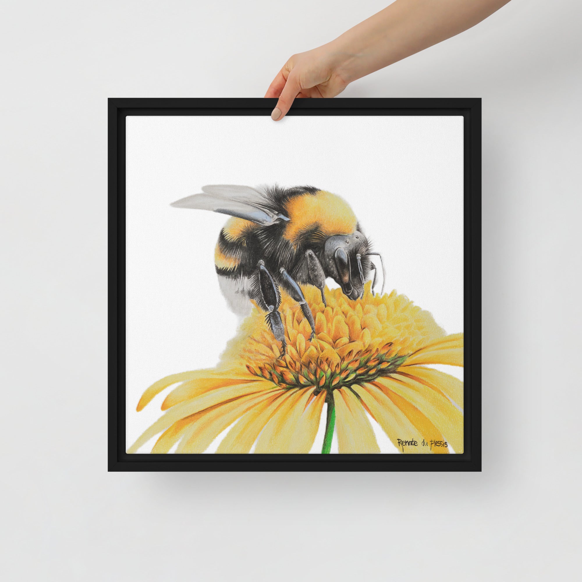 bumble bee on yellow flower