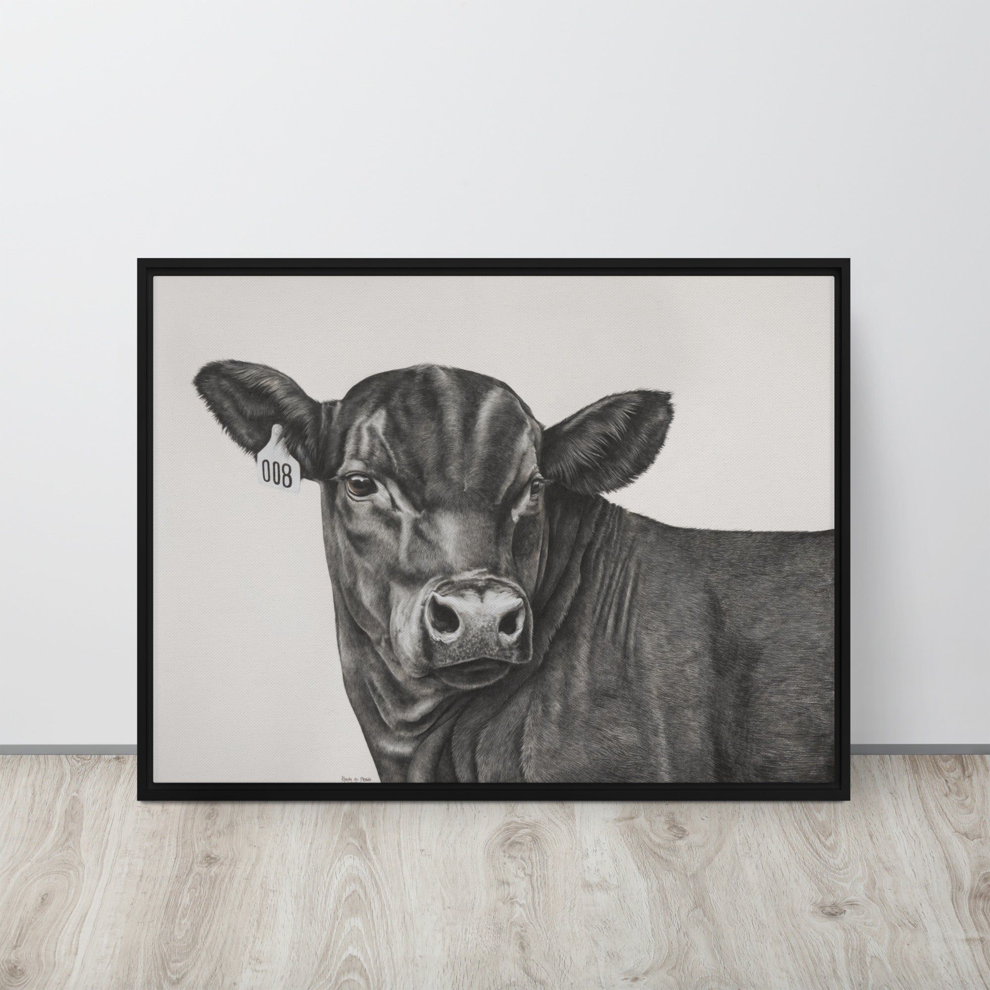 Black Angus steer with a 008 ear tag on an off white background canvas with frame