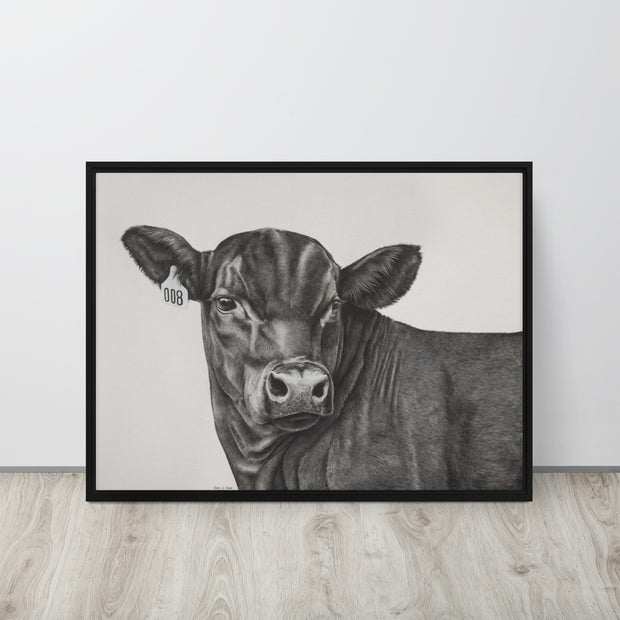 Black Angus steer with a 008 ear tag on an off white background canvas with frame