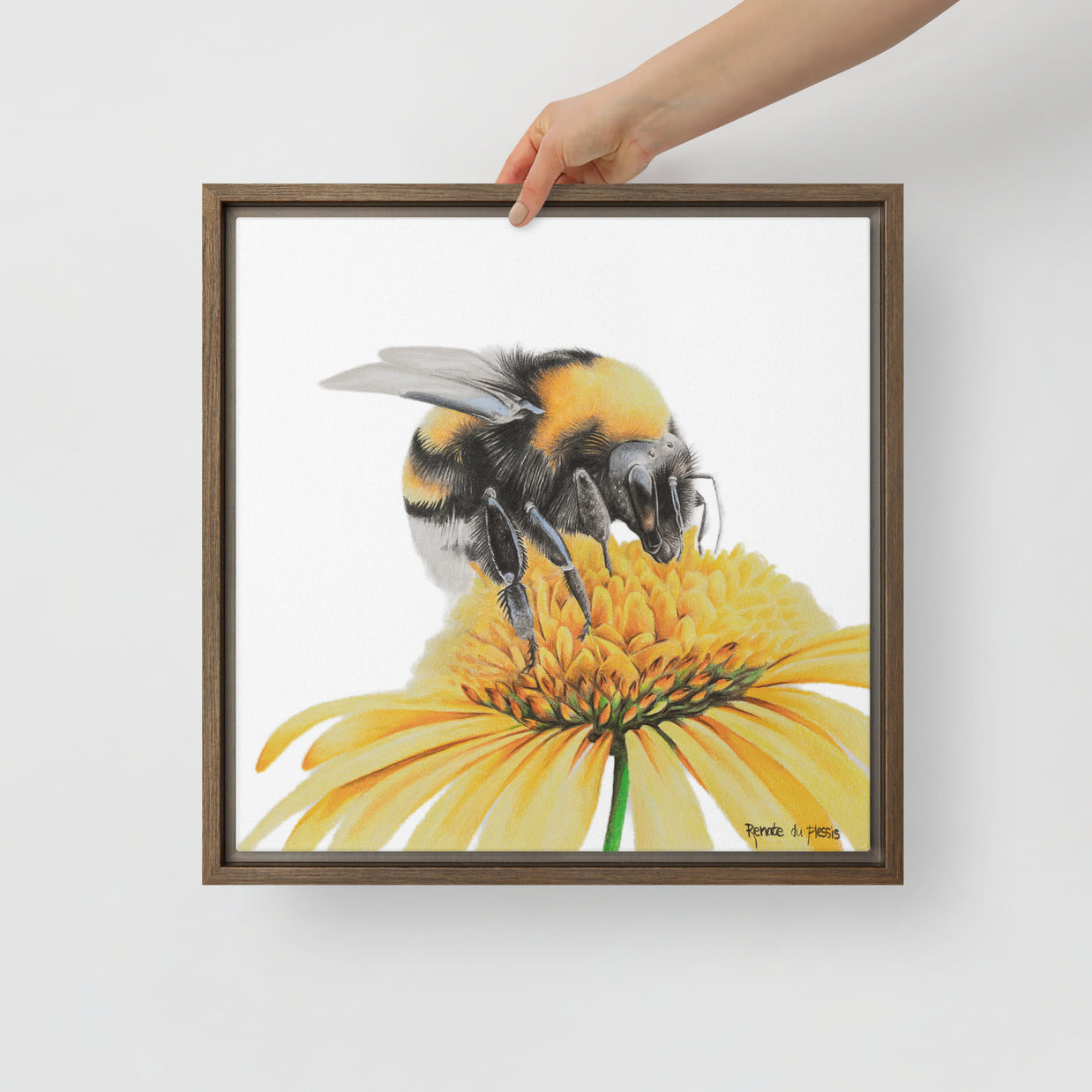 Bumble bee on a beautiful yellow flower