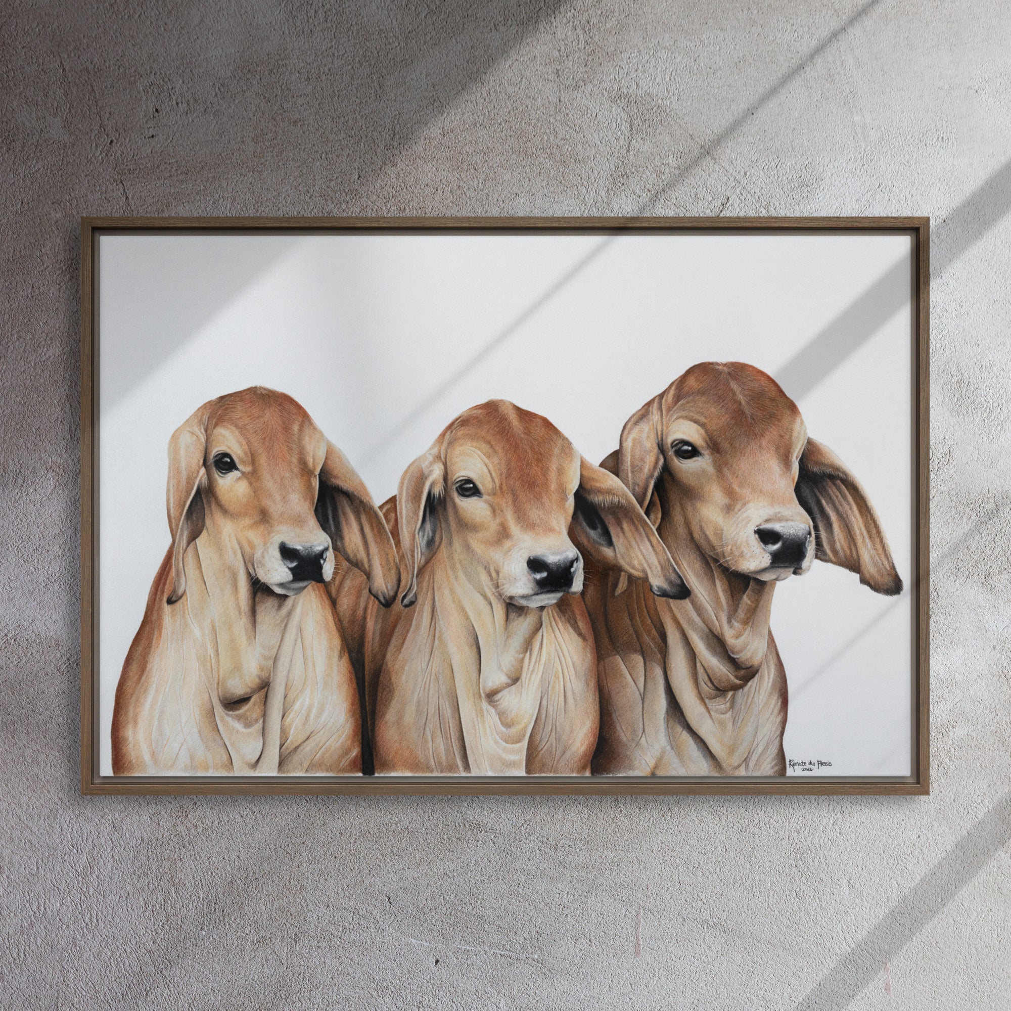 Framed artwork of three calves on a white background