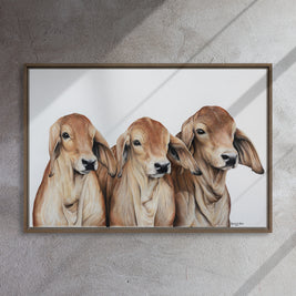Framed artwork of three calves on a white background