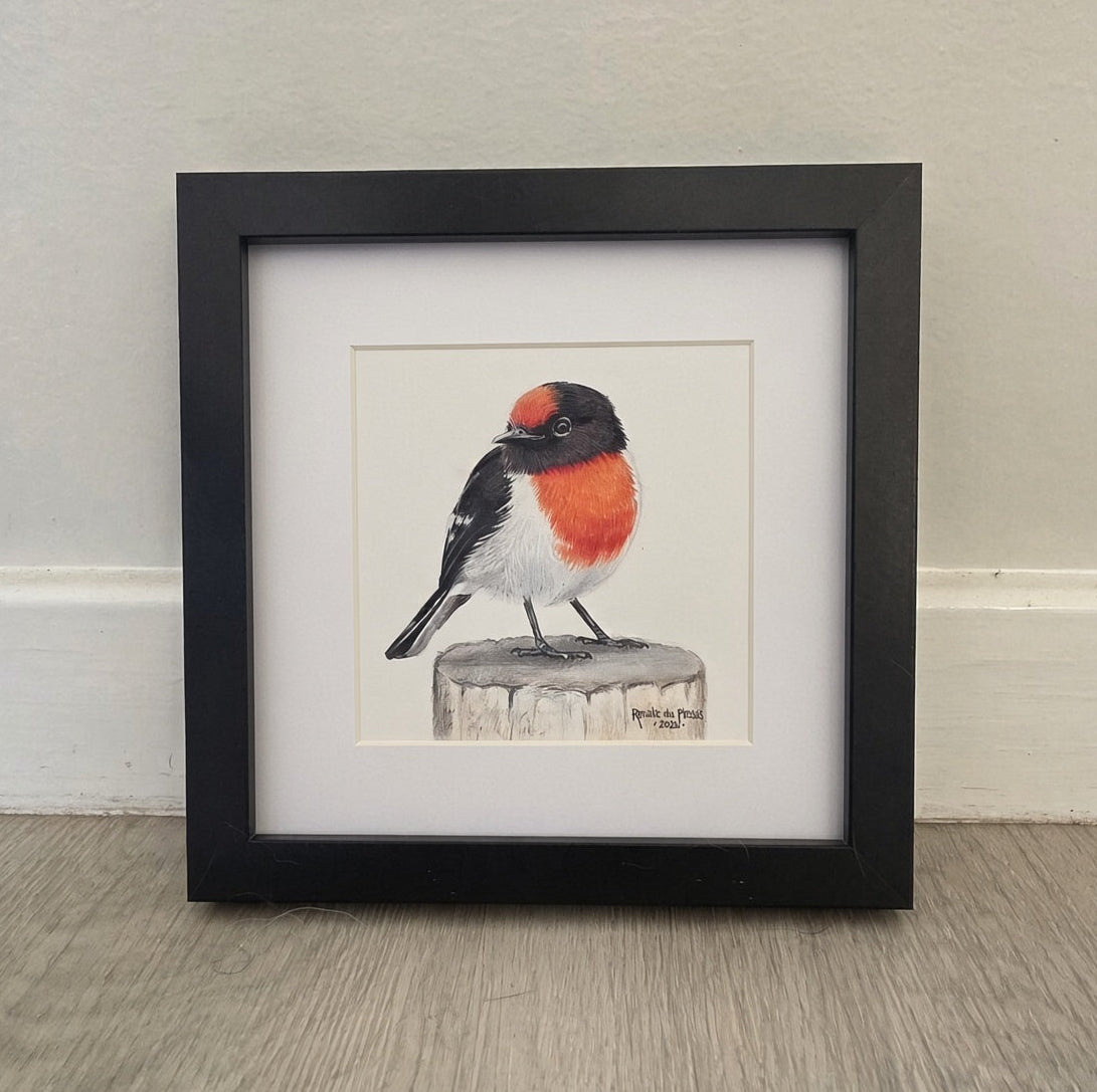 A framed bird art drawing featuring a small bird with a red chest and black-and-white body perched on a log, displayed in a black frame against a light wall on a wood floor.