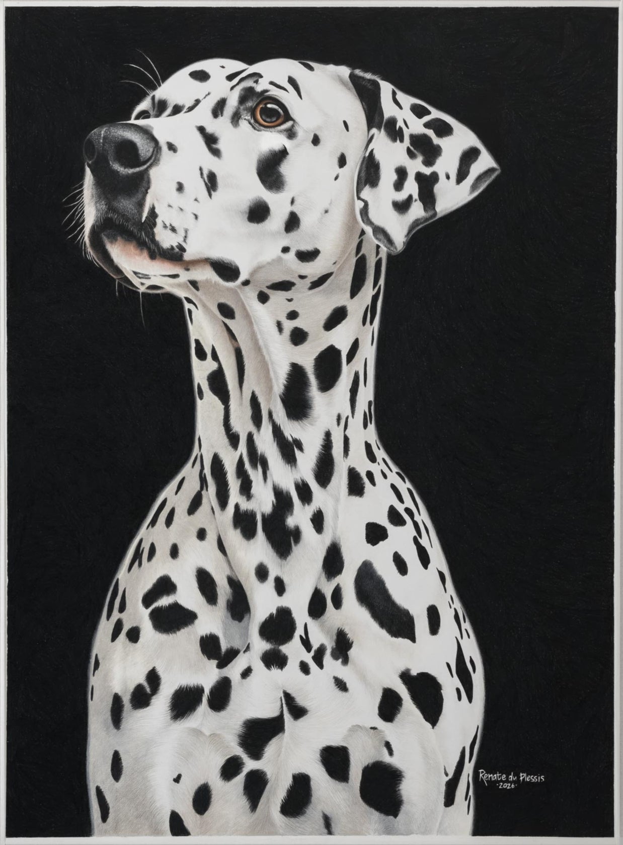 Artistic illustration of a Dalmatian dog on a black background