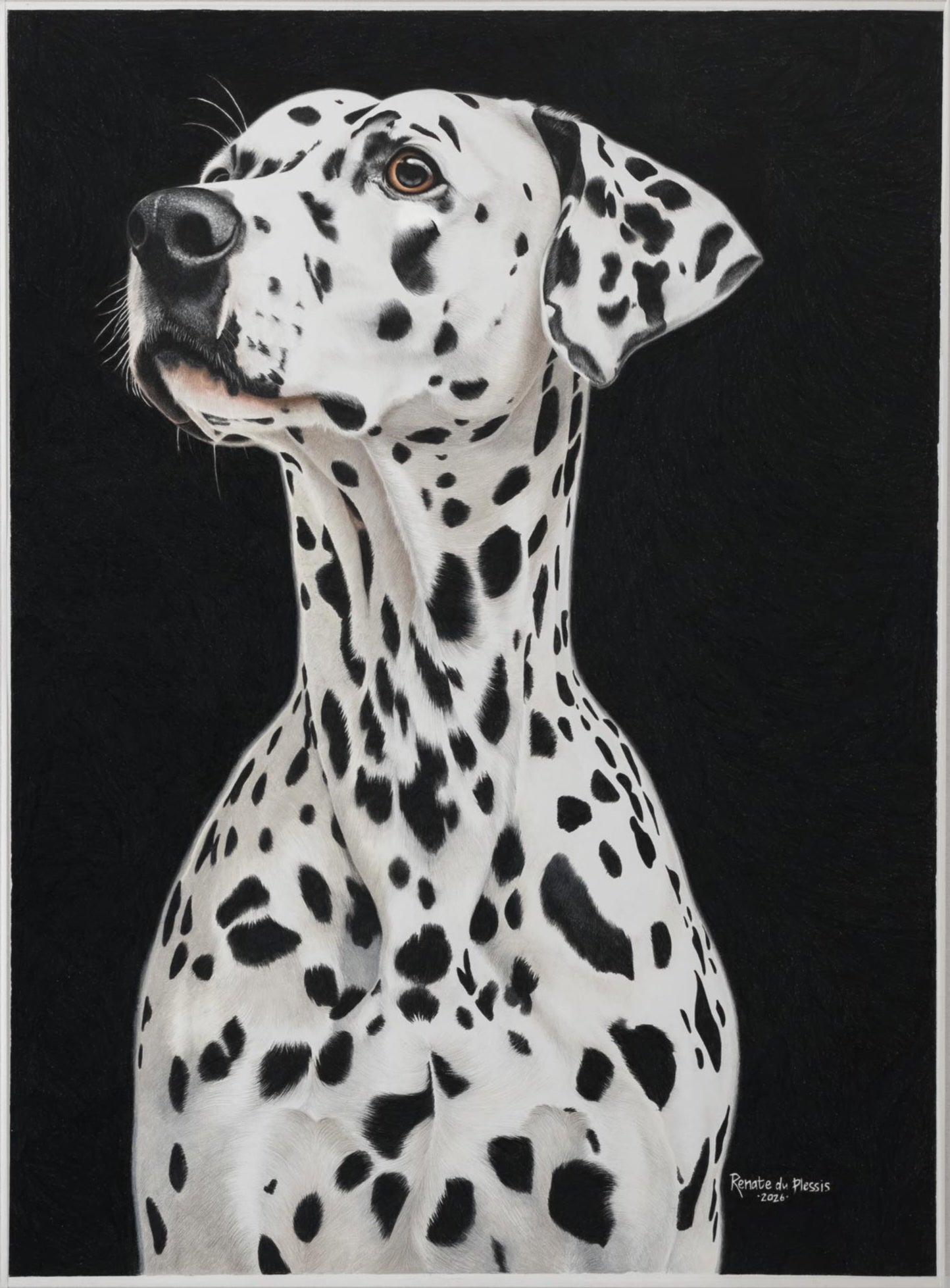 Artistic illustration of a Dalmatian dog on a black background