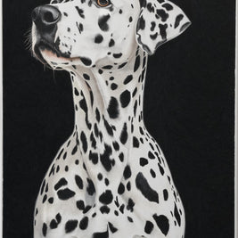 Artistic illustration of a Dalmatian dog on a black background