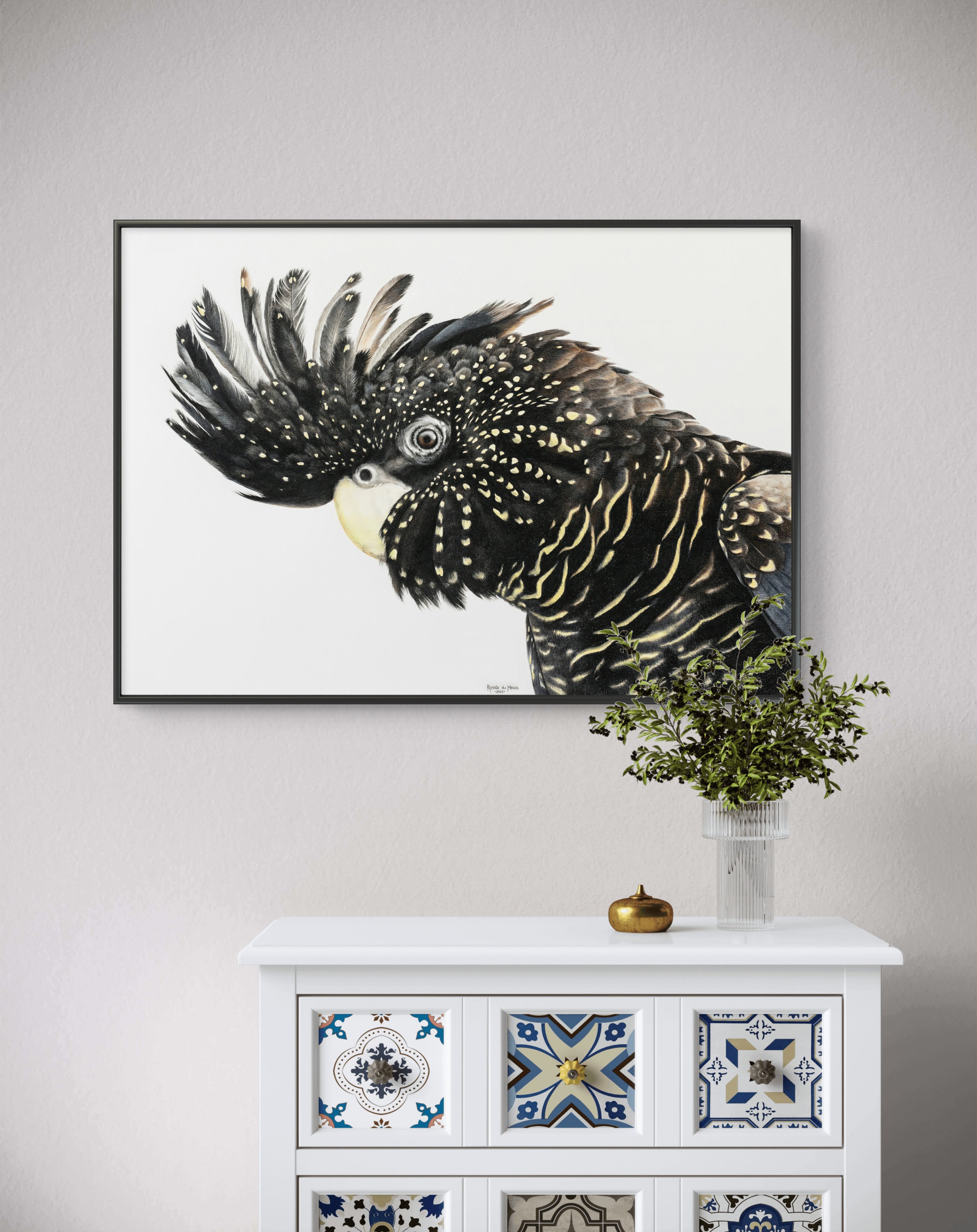 Framed canvas - Black Cockatoo
